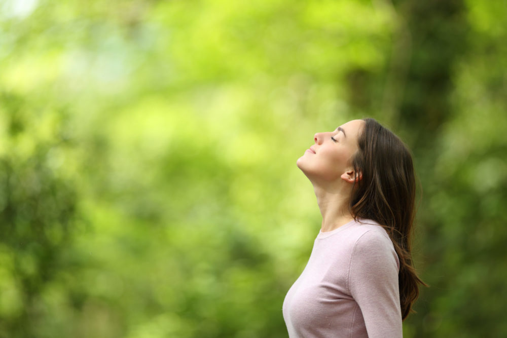 Ayurveda belreisen