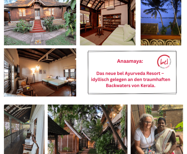 Ayurveda verändert dein Leben!